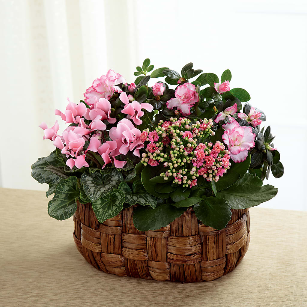 Pink Assortment – BLOOMERS FLOWERS & GIFTS, Campbell CA