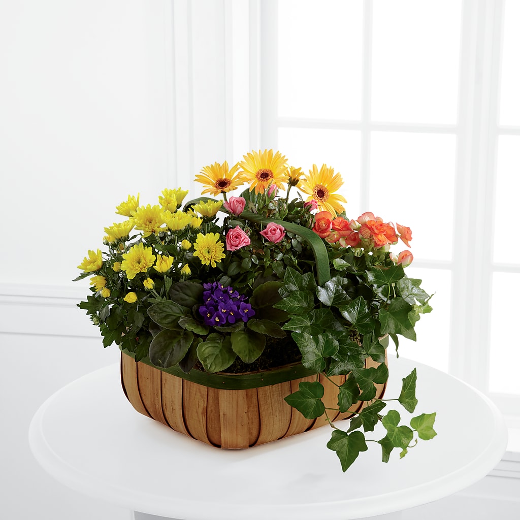 Gentle Blossoms Basket – BLOOMERS FLOWERS & GIFTS, Campbell CA