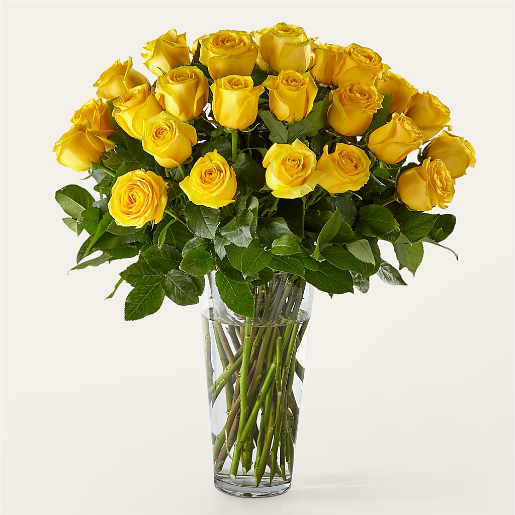 Long Stem Yellow Rose Bouquet – BLOOMERS FLOWERS & GIFTS, Campbell CA