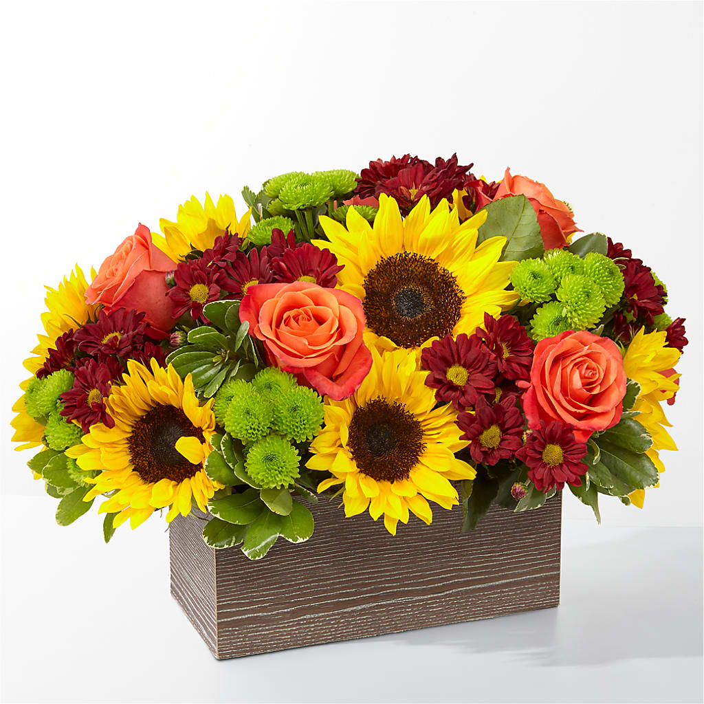 Happy Harvest Garden – BLOOMERS FLOWERS & GIFTS, Campbell CA