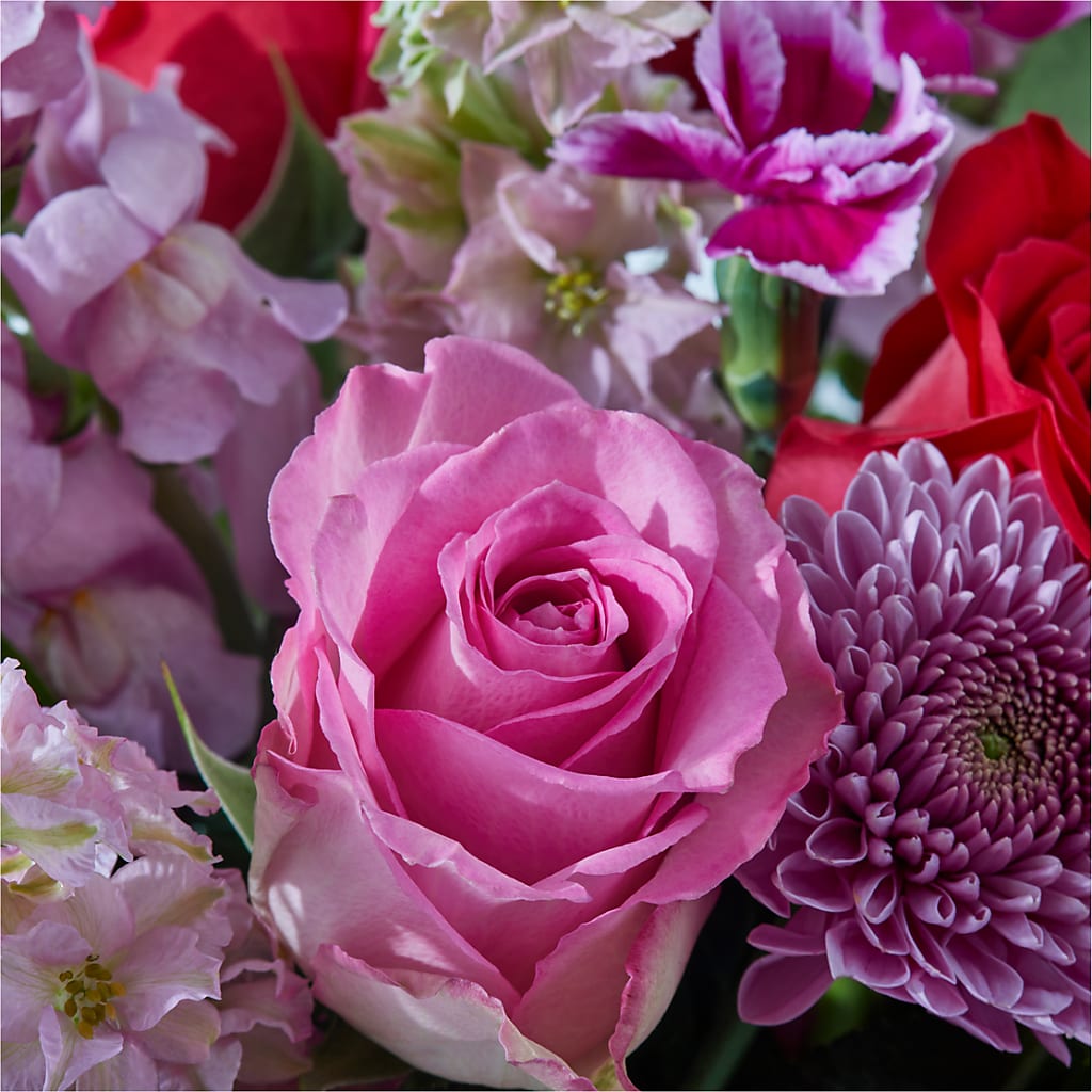 Better Together - A Luxury Florist Original – BLOOMERS FLOWERS & GIFTS, Campbell CA