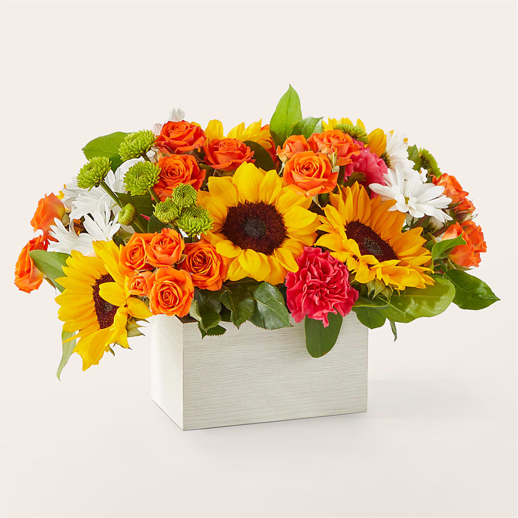 Sun-drenched Blooms Box Bouquet – BLOOMERS FLOWERS & GIFTS, Campbell CA