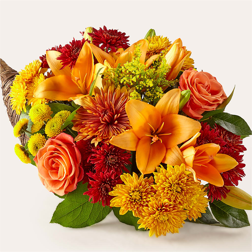 Feast of Color Cornucopia – BLOOMERS FLOWERS & GIFTS, Campbell CA