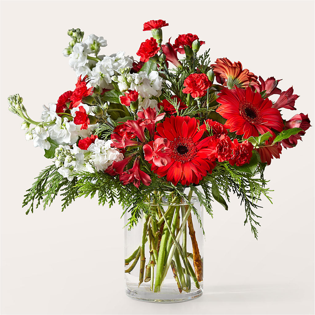 Holidaisy Bouquet – BLOOMERS FLOWERS & GIFTS, Campbell CA