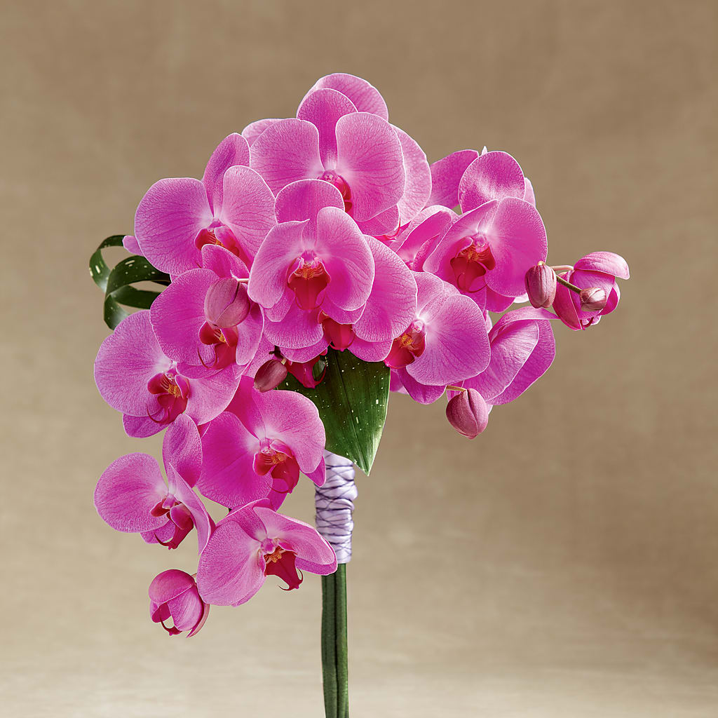 Glorious Bouquet – BLOOMERS FLOWERS & GIFTS, Campbell CA