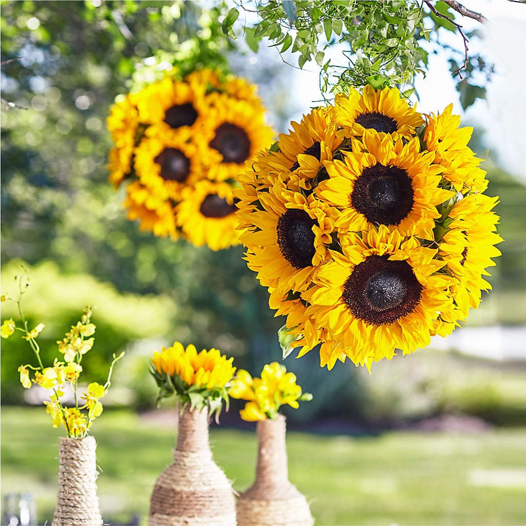 Sublime Garden Hanging Arrangement – BLOOMERS FLOWERS & GIFTS, Campbell CA