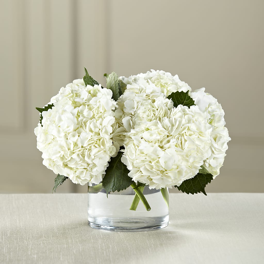 White Hydrangea Bouquet – BLOOMERS FLOWERS & GIFTS, Campbell CA