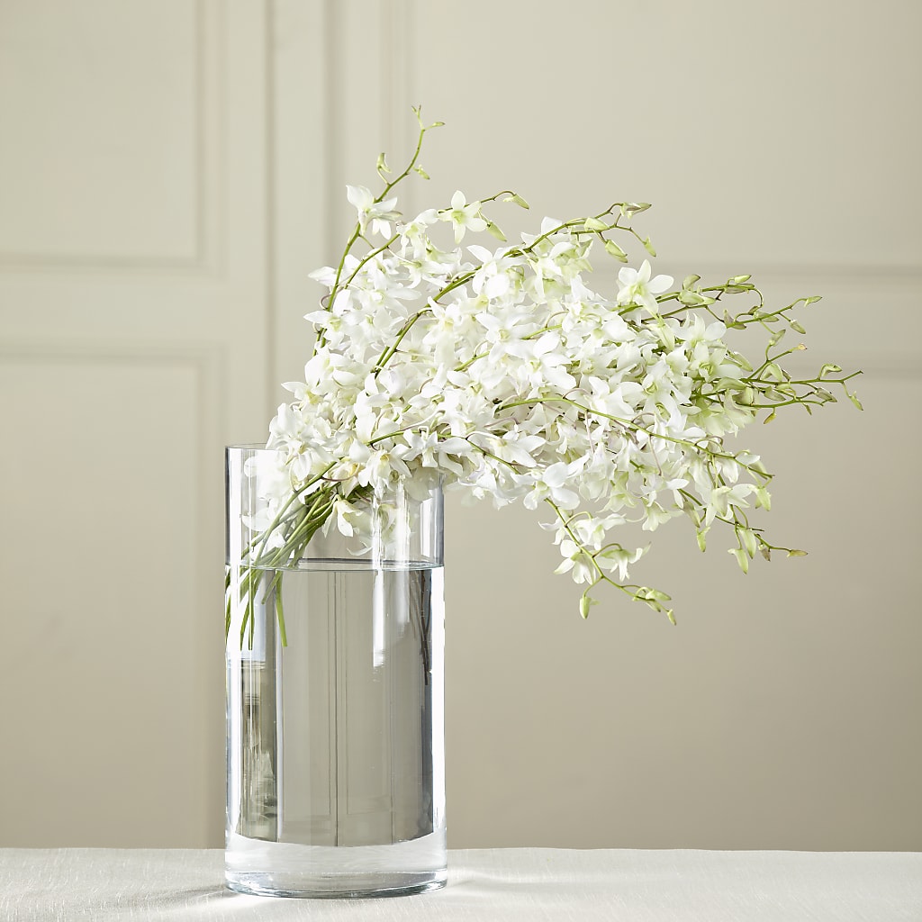 White Dendrobium Bouquet – BLOOMERS FLOWERS & GIFTS, Campbell CA