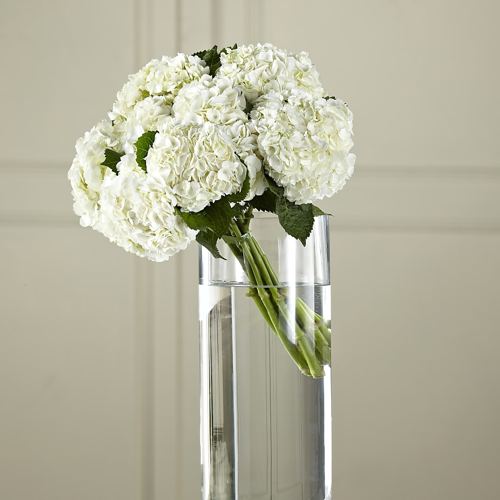 White Hydrangea Hand-Tied Bouquet – BLOOMERS FLOWERS & GIFTS, Campbell CA
