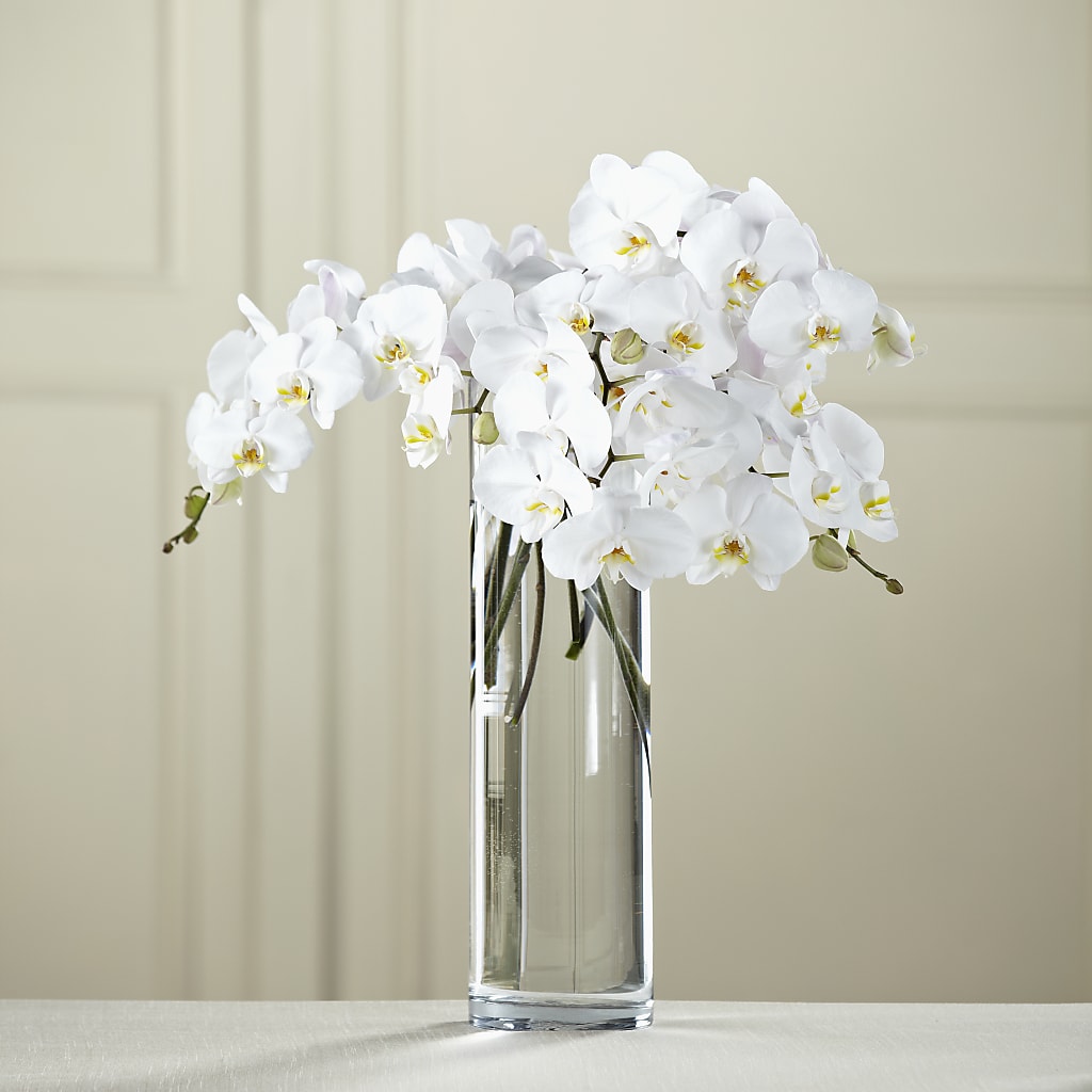 White Phalaenopsis Bouquet – BLOOMERS FLOWERS & GIFTS, Campbell CA