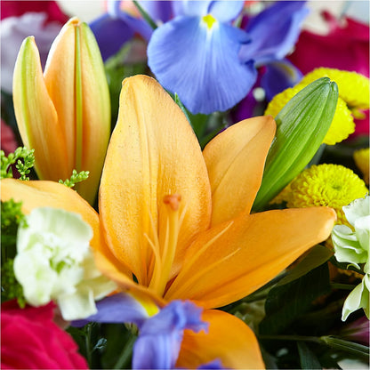 Bold & Bright – A Florist Original – BLOOMERS FLOWERS & GIFTS, Campbell CA