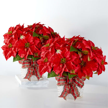 Happiest Holidays Poinsettia Bundle – BLOOMERS FLOWERS & GIFTS, Campbell CA