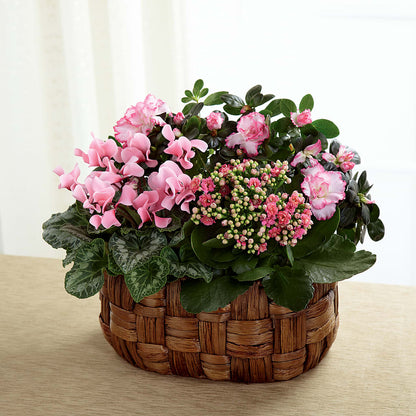 Pink Assortment – BLOOMERS FLOWERS & GIFTS, Campbell CA