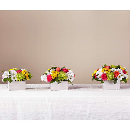 Sorbet Bouquet – BLOOMERS FLOWERS & GIFTS, Campbell CA