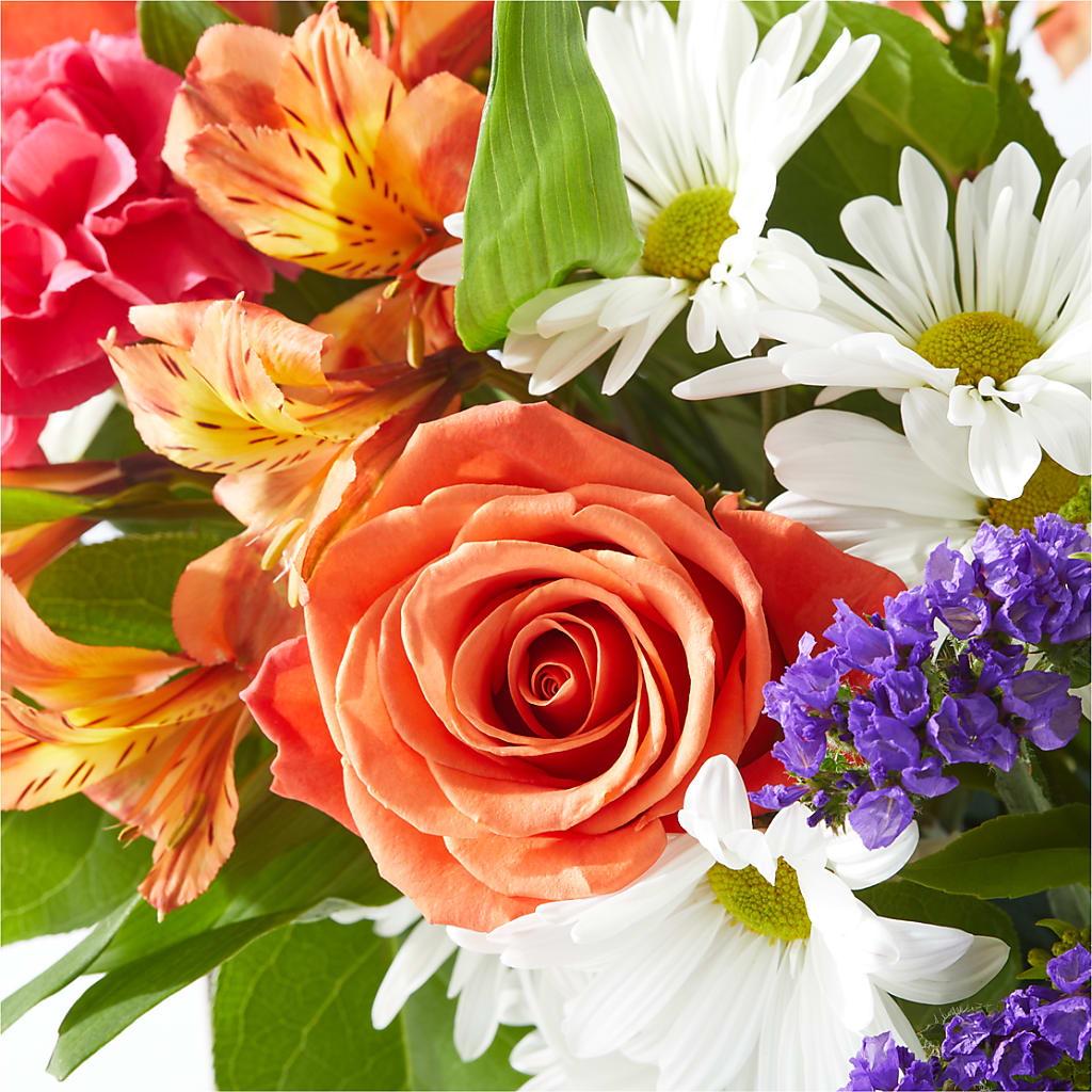 Oopsie Daisy Box Bouquet – BLOOMERS FLOWERS & GIFTS, Campbell CA