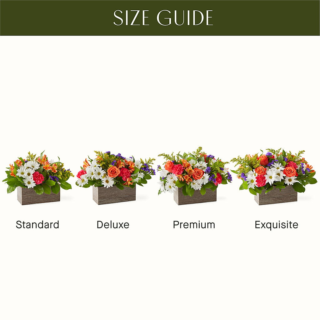 Oopsie Daisy Box Bouquet – BLOOMERS FLOWERS & GIFTS, Campbell CA