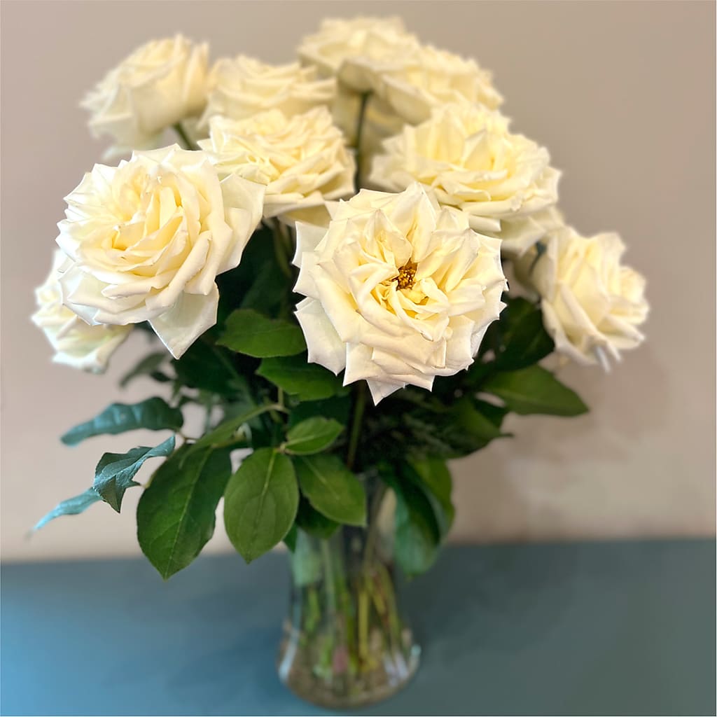 Long Stem Yellow Rose Bouquet – BLOOMERS FLOWERS & GIFTS, Campbell CA