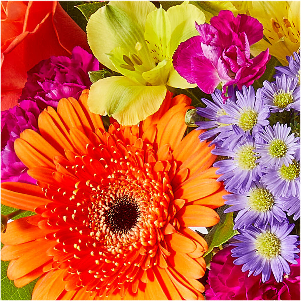 Tricks & Treats Pumpkin – BLOOMERS FLOWERS & GIFTS, Campbell CA