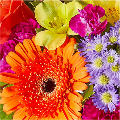 Tricks & Treats Pumpkin – BLOOMERS FLOWERS & GIFTS, Campbell CA