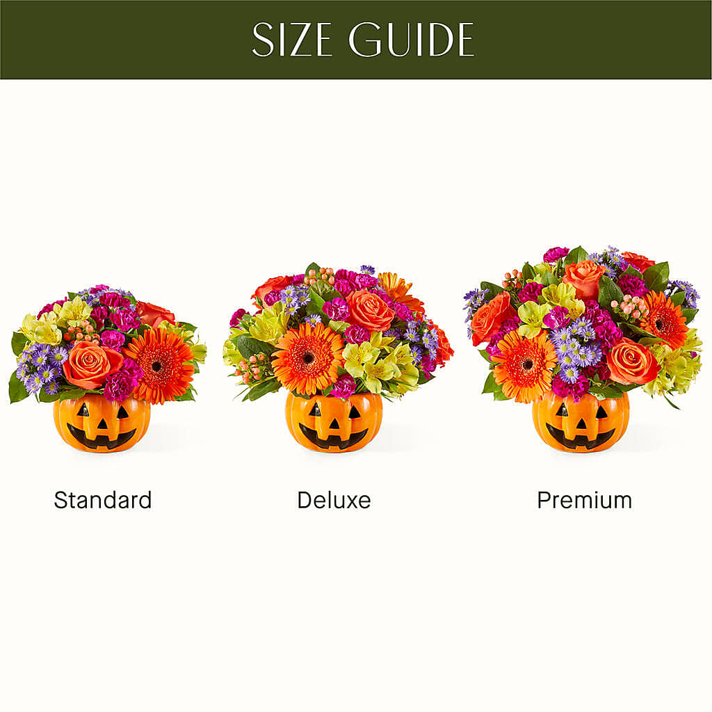 Tricks & Treats Pumpkin – BLOOMERS FLOWERS & GIFTS, Campbell CA