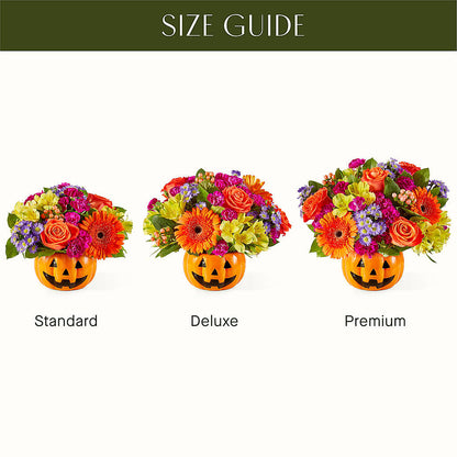 Tricks & Treats Pumpkin – BLOOMERS FLOWERS & GIFTS, Campbell CA