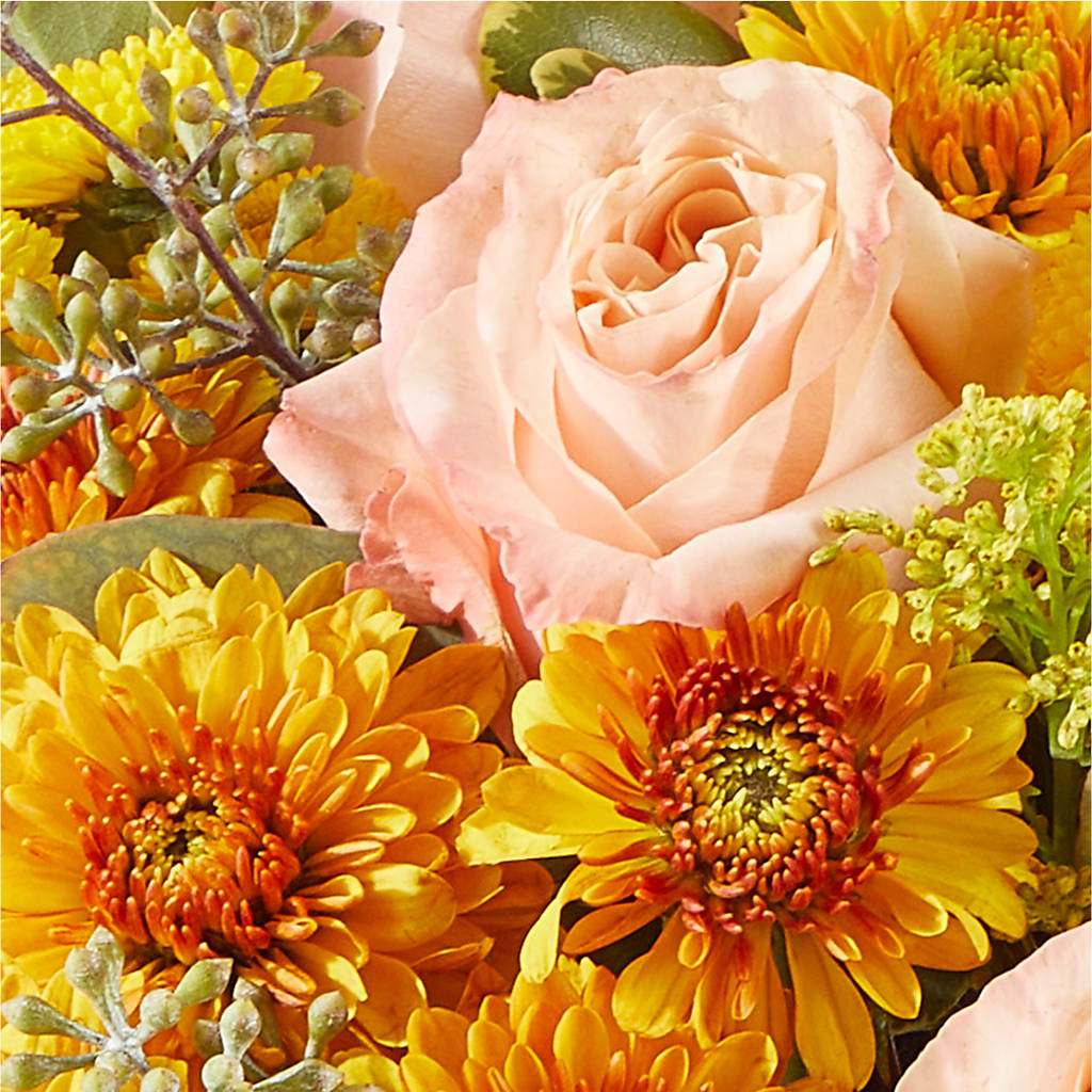 Peachy Pumpkin – BLOOMERS FLOWERS & GIFTS, Campbell CA