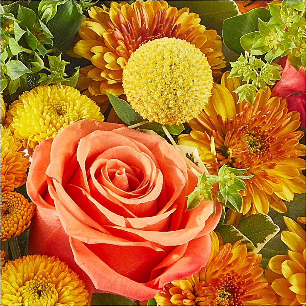 Gourdgeous Pumpkin – BLOOMERS FLOWERS & GIFTS, Campbell CA
