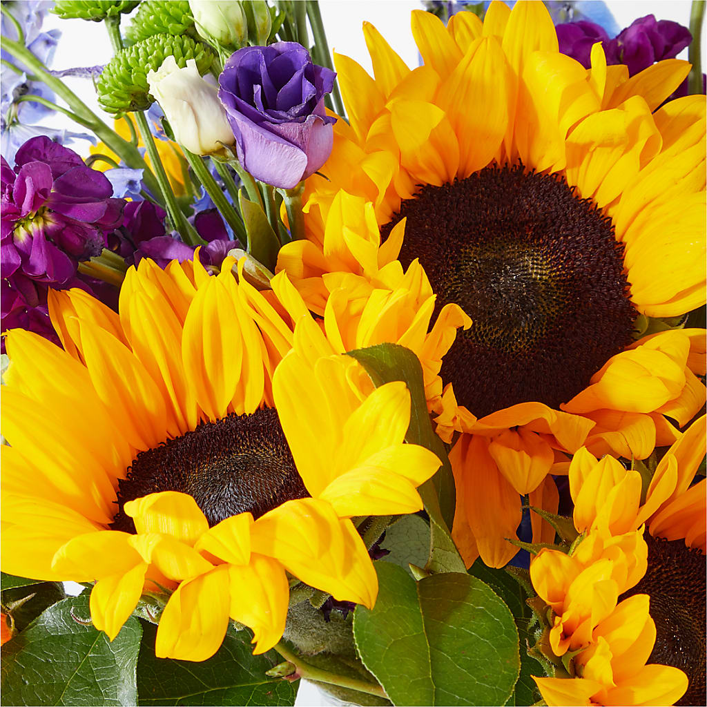 Catching Rays Bouquet – BLOOMERS FLOWERS & GIFTS, Campbell CA