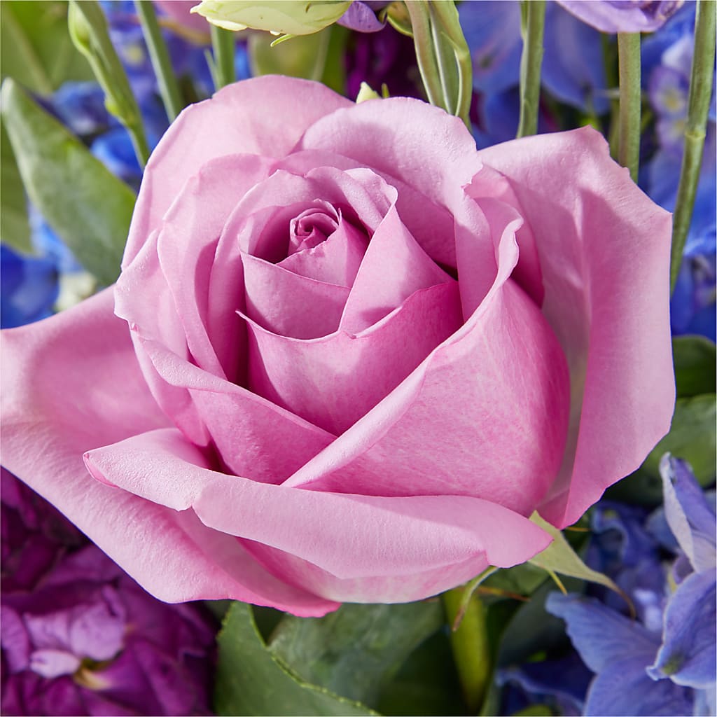 Twilight Glow Bouquet – BLOOMERS FLOWERS & GIFTS, Campbell CA