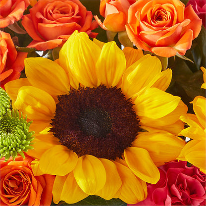 Sun-drenched Blooms Box Bouquet – BLOOMERS FLOWERS & GIFTS, Campbell CA