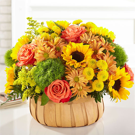 Harvest Sunflower Basket – BLOOMERS FLOWERS & GIFTS, Campbell CA