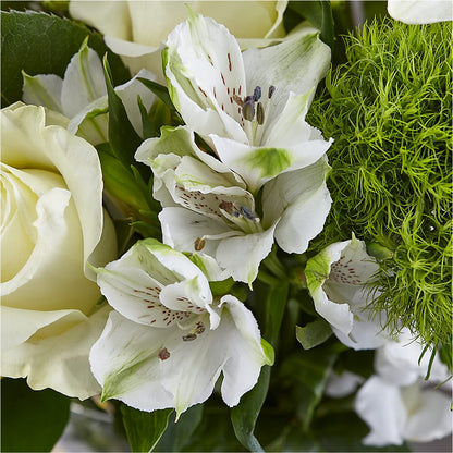 Classic Ivory – A Florist Original – BLOOMERS FLOWERS & GIFTS, Campbell CA