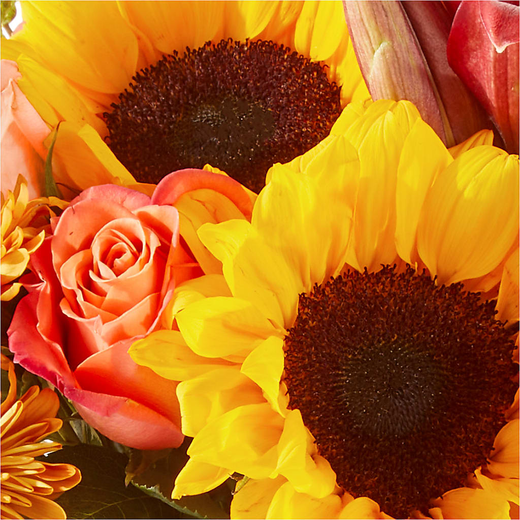 Acorn Lane Bouquet – BLOOMERS FLOWERS & GIFTS, Campbell CA