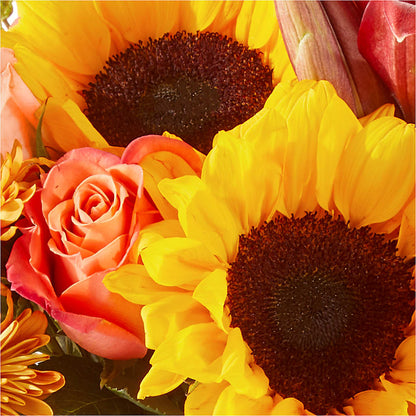 Acorn Lane Bouquet – BLOOMERS FLOWERS & GIFTS, Campbell CA