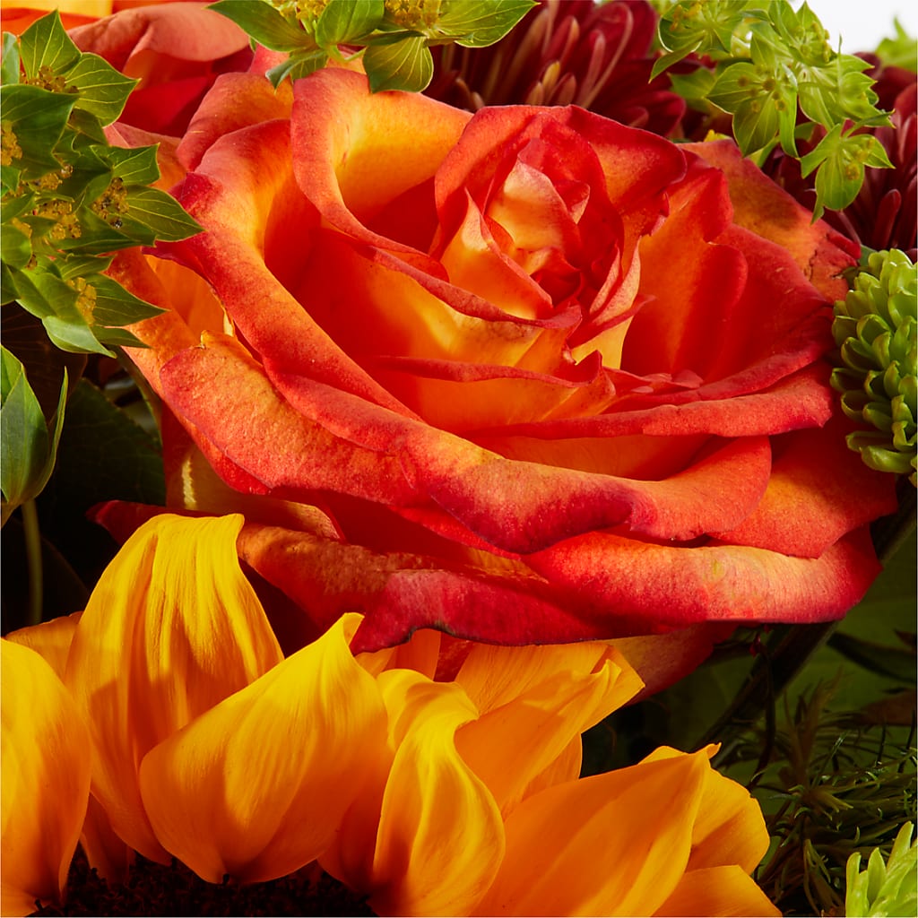 Harvest Festival Bouquet – BLOOMERS FLOWERS & GIFTS, Campbell CA