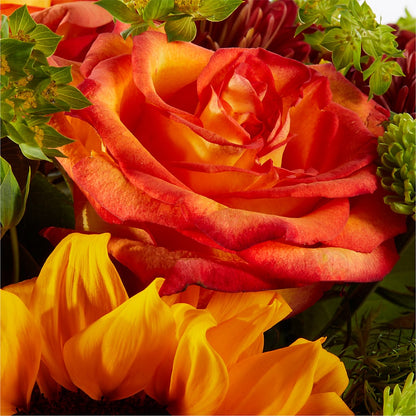 Harvest Festival Bouquet – BLOOMERS FLOWERS & GIFTS, Campbell CA