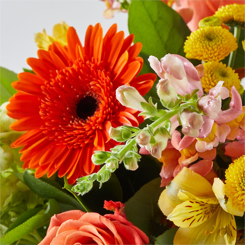 Autumn Sunshine Bouquet – BLOOMERS FLOWERS & GIFTS, Campbell CA