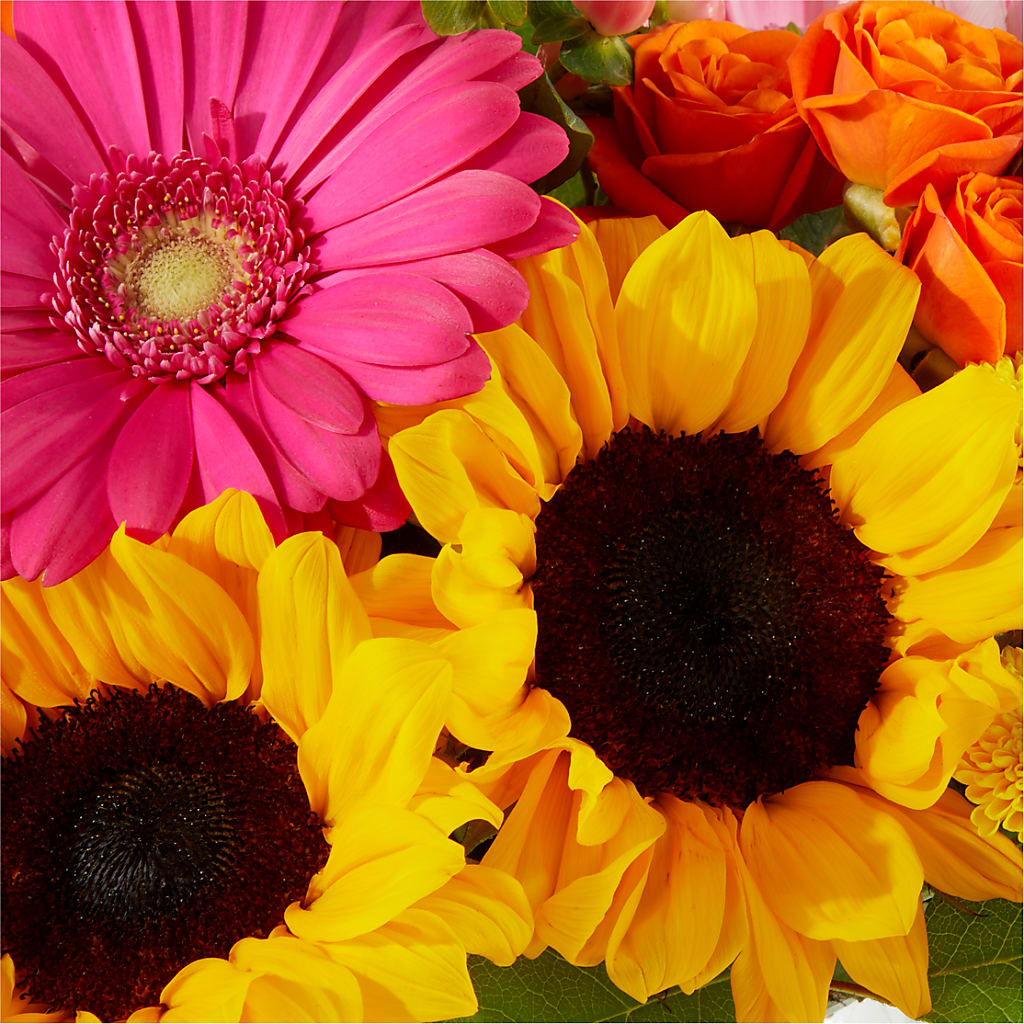 Beach Day Bouquet – BLOOMERS FLOWERS & GIFTS, Campbell CA