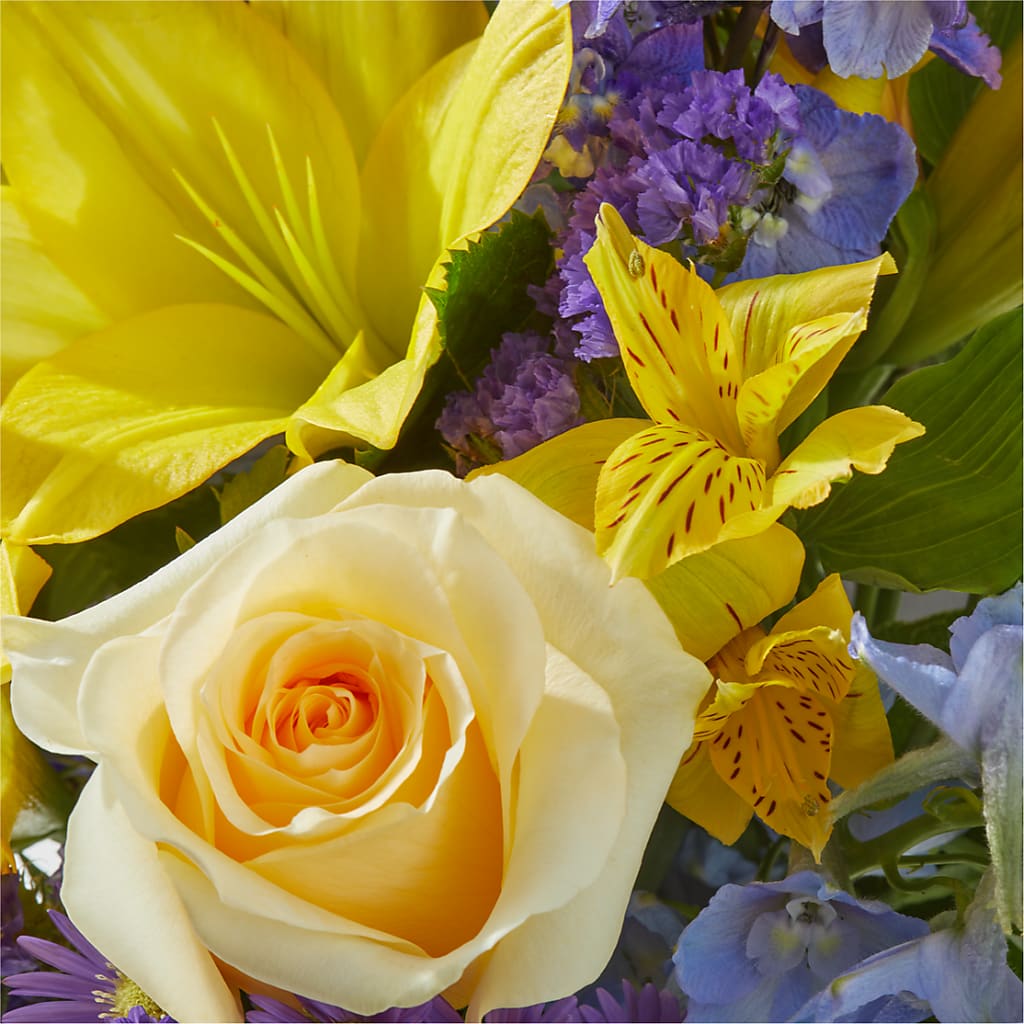 Limoncello Bouquet – BLOOMERS FLOWERS & GIFTS, Campbell CA