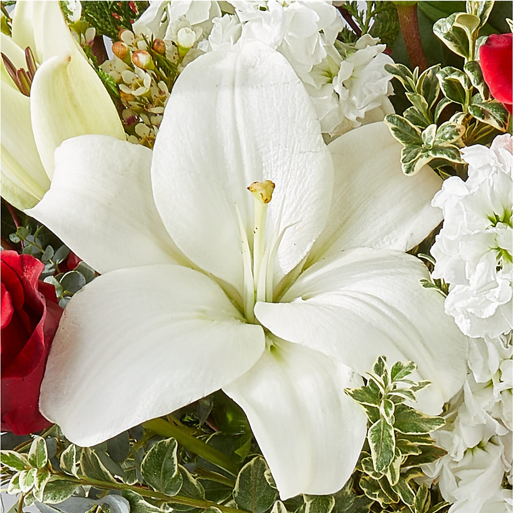 Twinkle Lights Bouquet – BLOOMERS FLOWERS & GIFTS, Campbell CA