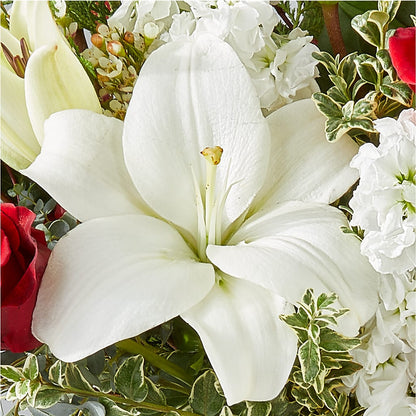 Twinkle Lights Bouquet – BLOOMERS FLOWERS & GIFTS, Campbell CA