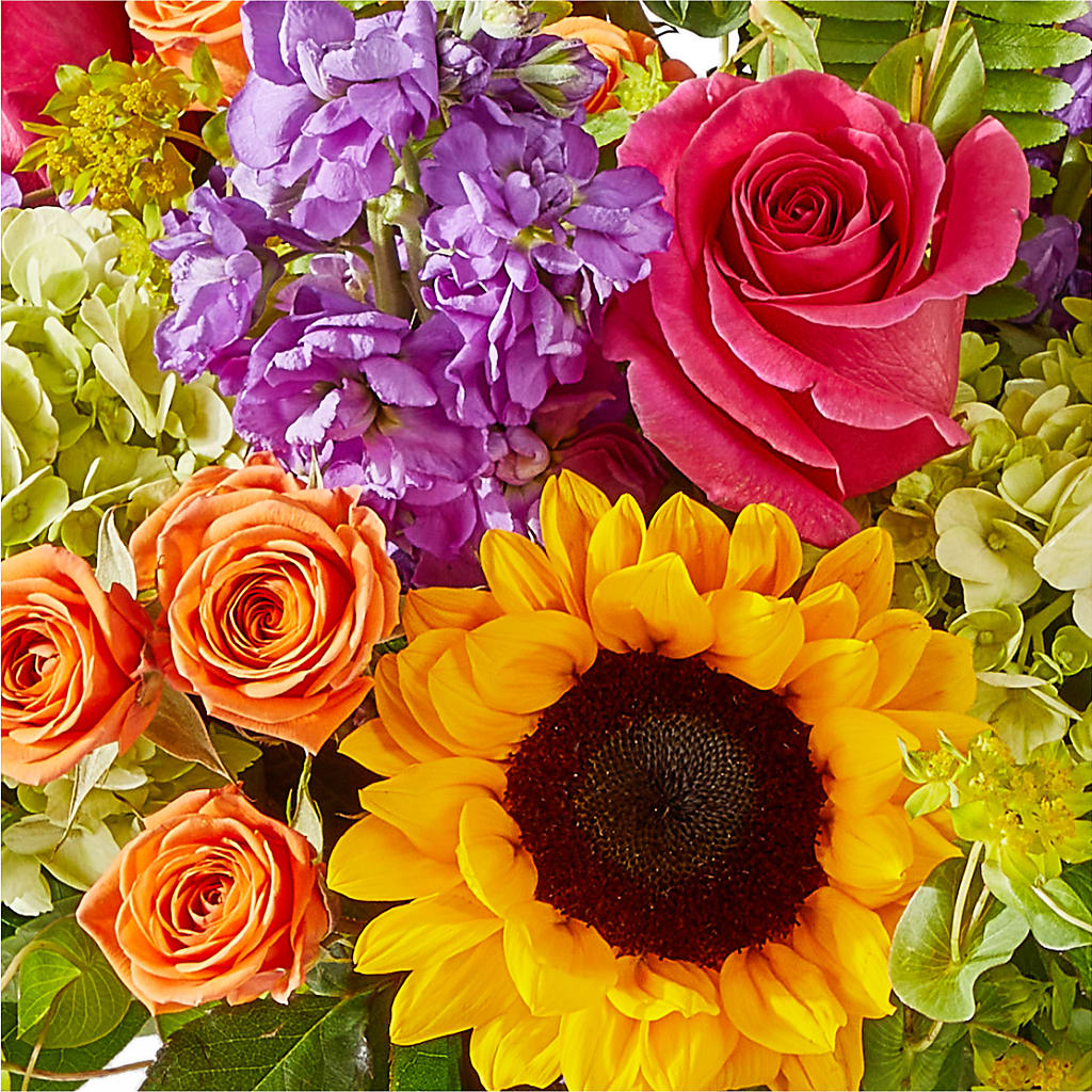 Vibrant Greetings Bouquet – BLOOMERS FLOWERS & GIFTS, Campbell CA