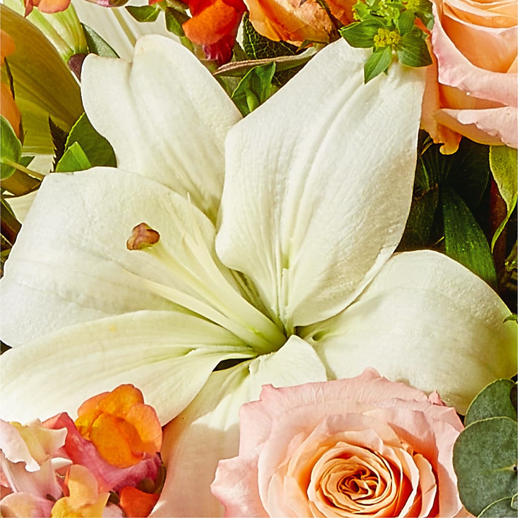 Grapefruit Splash Bouquet – BLOOMERS FLOWERS & GIFTS, Campbell CA