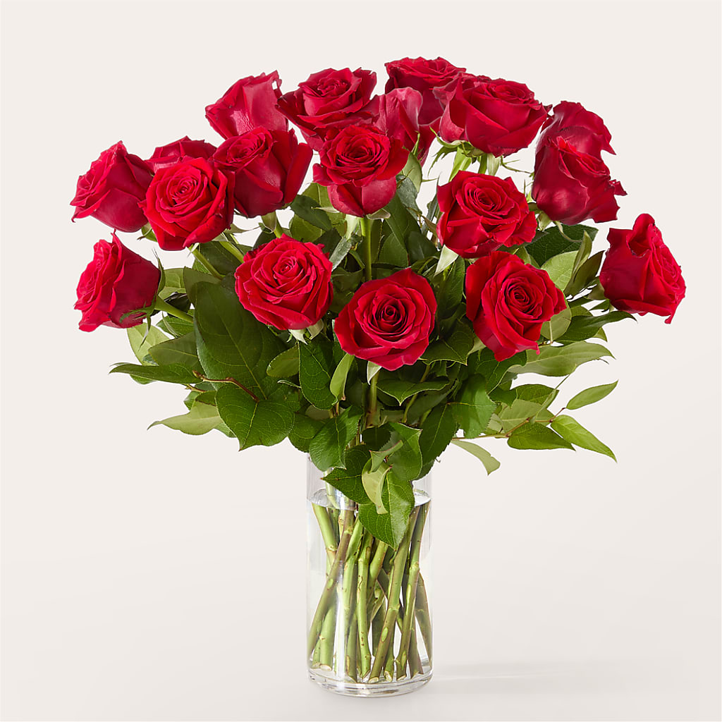 The One Red Rose Bouquet – BLOOMERS FLOWERS & GIFTS, Campbell CA