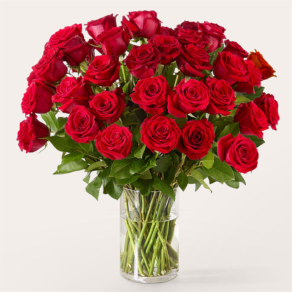 The One Red Rose Bouquet – BLOOMERS FLOWERS & GIFTS, Campbell CA