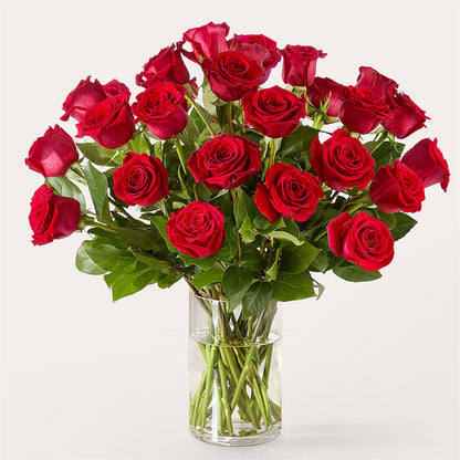 The One Red Rose Bouquet – BLOOMERS FLOWERS & GIFTS, Campbell CA
