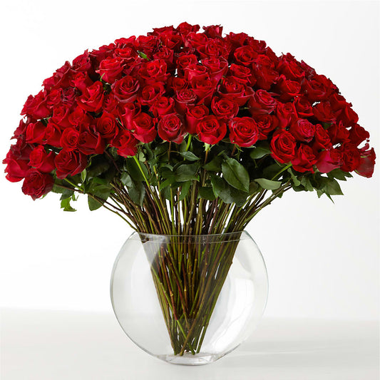 The Idealist – BLOOMERS FLOWERS & GIFTS, Campbell CA
