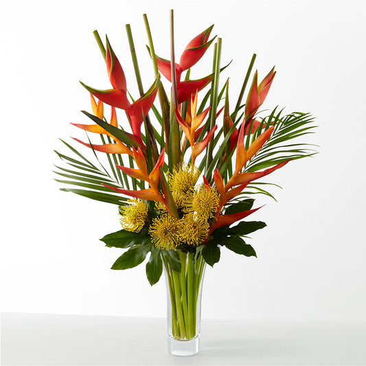 The Drama – BLOOMERS FLOWERS & GIFTS, Campbell CA