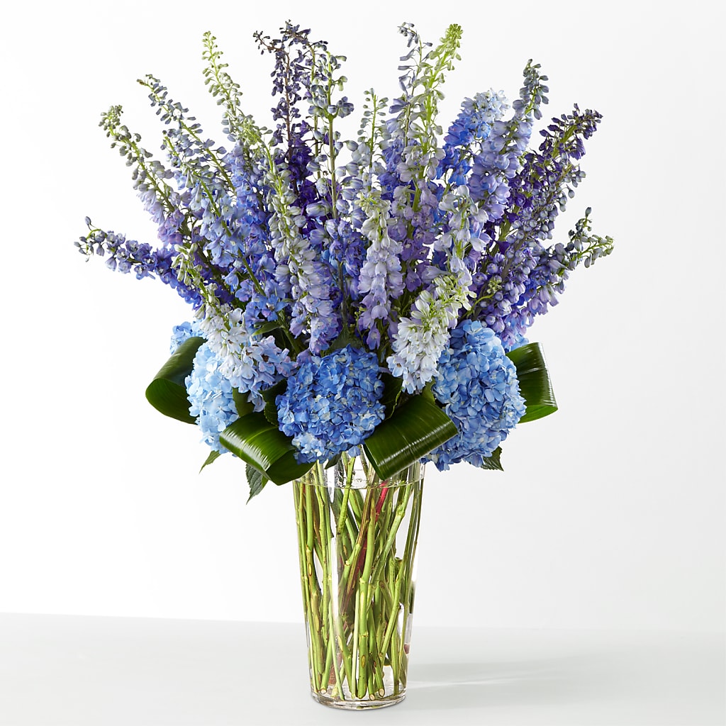 The Editorial – BLOOMERS FLOWERS & GIFTS, Campbell CA