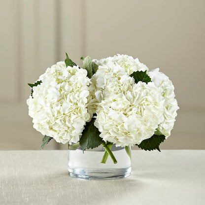 White Hydrangea Bouquet – BLOOMERS FLOWERS & GIFTS, Campbell CA